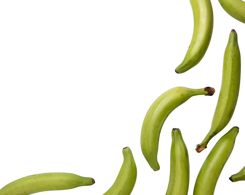 home_openfoods_bg